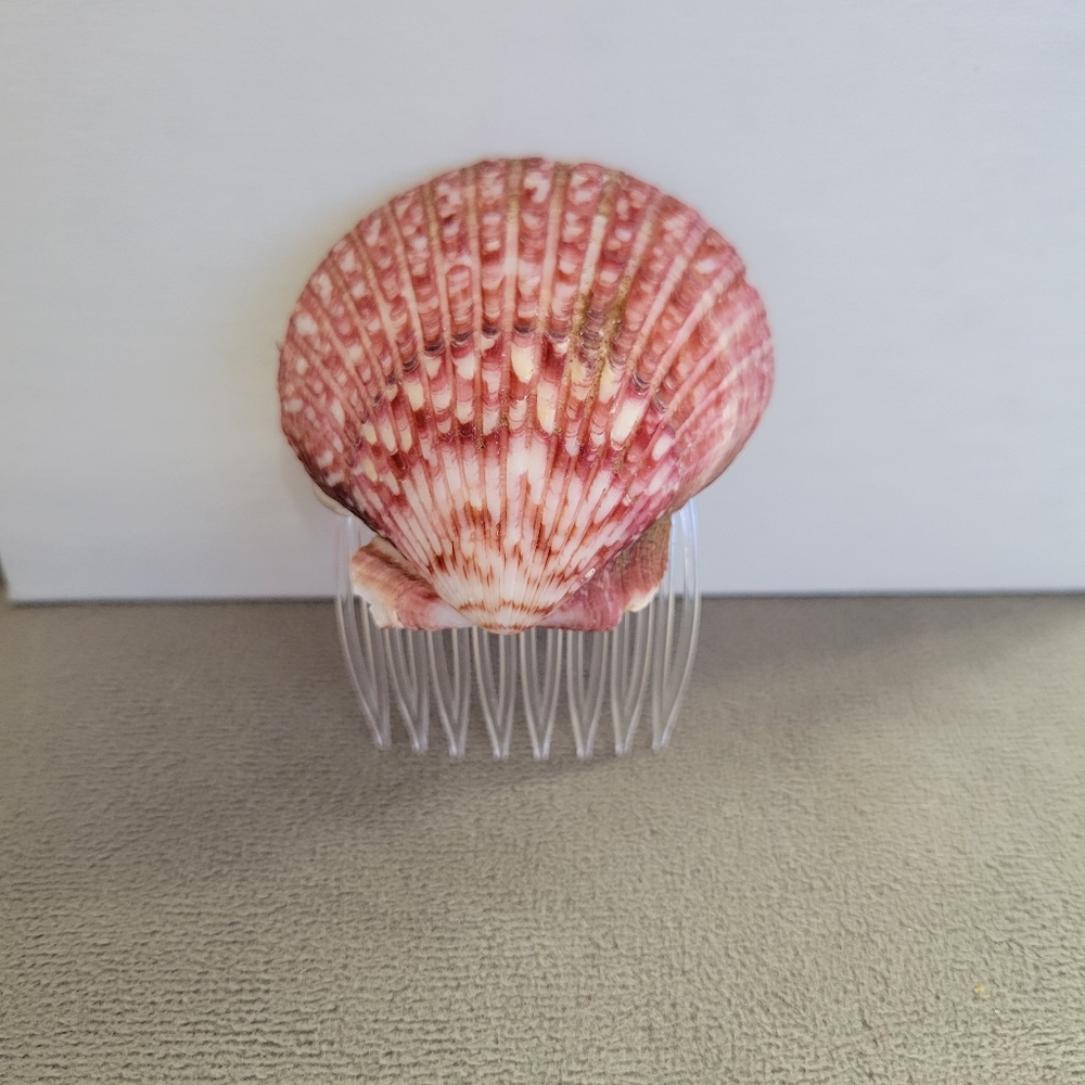 Authentic Seashell Hair Accessory - Picture 2 of 12